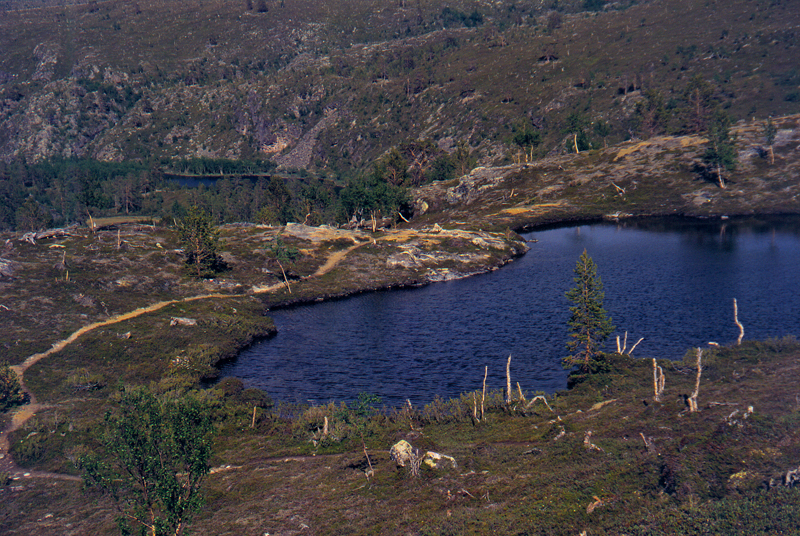 Scan-110325-0071