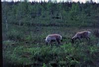 Scan-090712-0035
