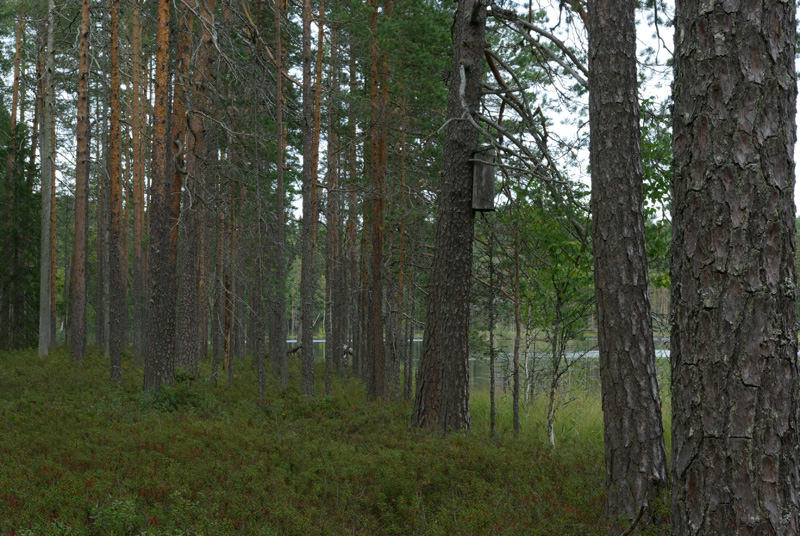 IMGP0170