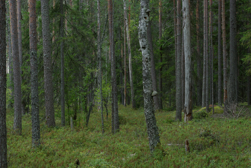 IMGP0172