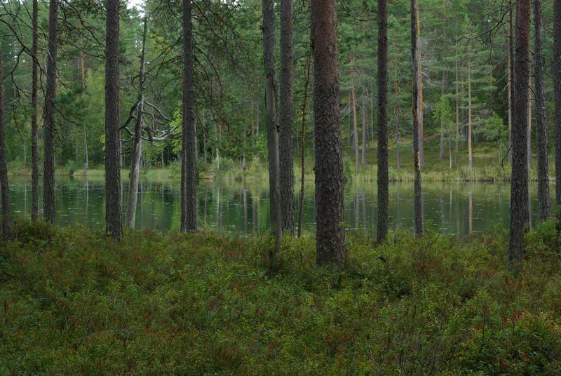 IMGP0173